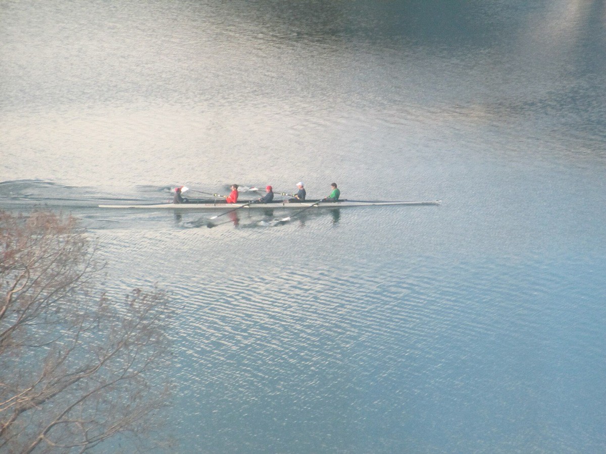 Rowers on Lady Bird Lake in Austin